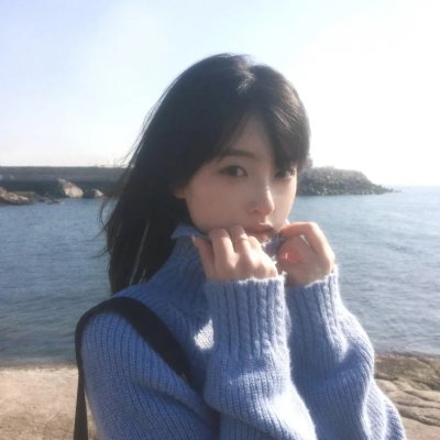 狮子护卫队第二季
